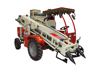 Combined peanut harvester and picker