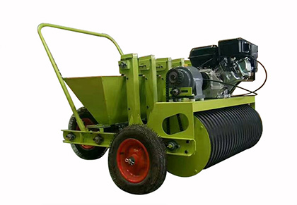 Garlic seeder